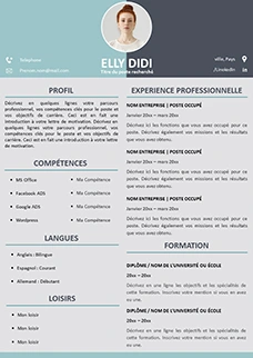 Cv Gratuit au format Powerpoint