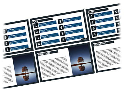 presentation professionnelles